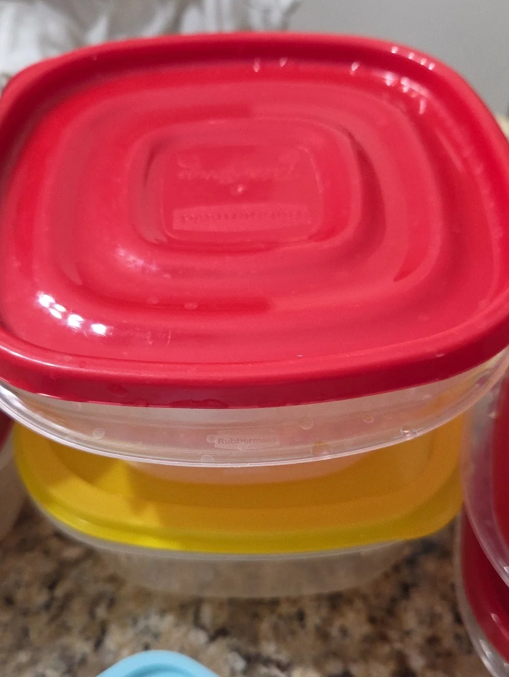 Assorted Plastic Food Storage Containers with Colored Lids - Multi-Color